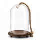 Glass Dome with Wood Base and Rope Handle
